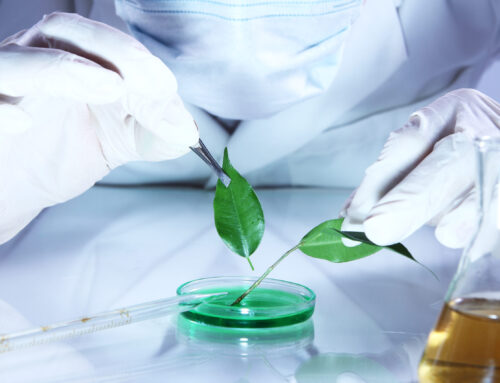 Is Green Chemistry the Future of Beauty?